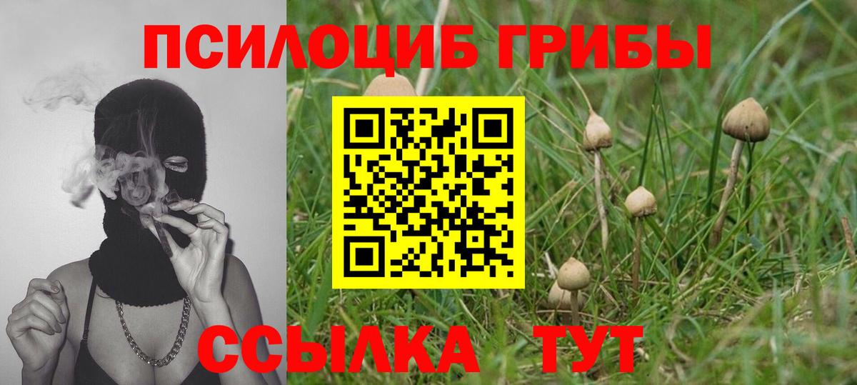 цены   Галлюциногенные грибы MAGIC MUSHROOMS  Вход с VPN  Кольчугино 